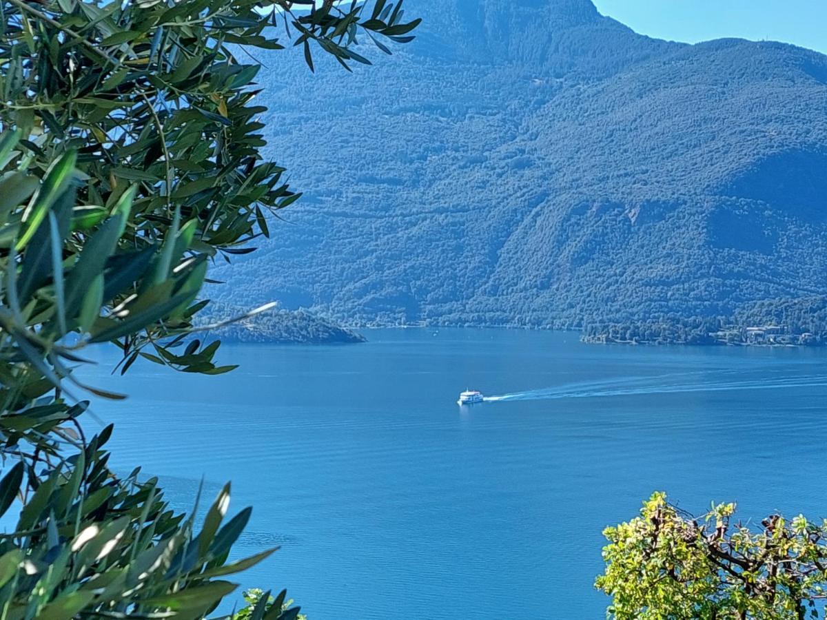 Casa vacanze Perla del Lago Domaso Esterno foto