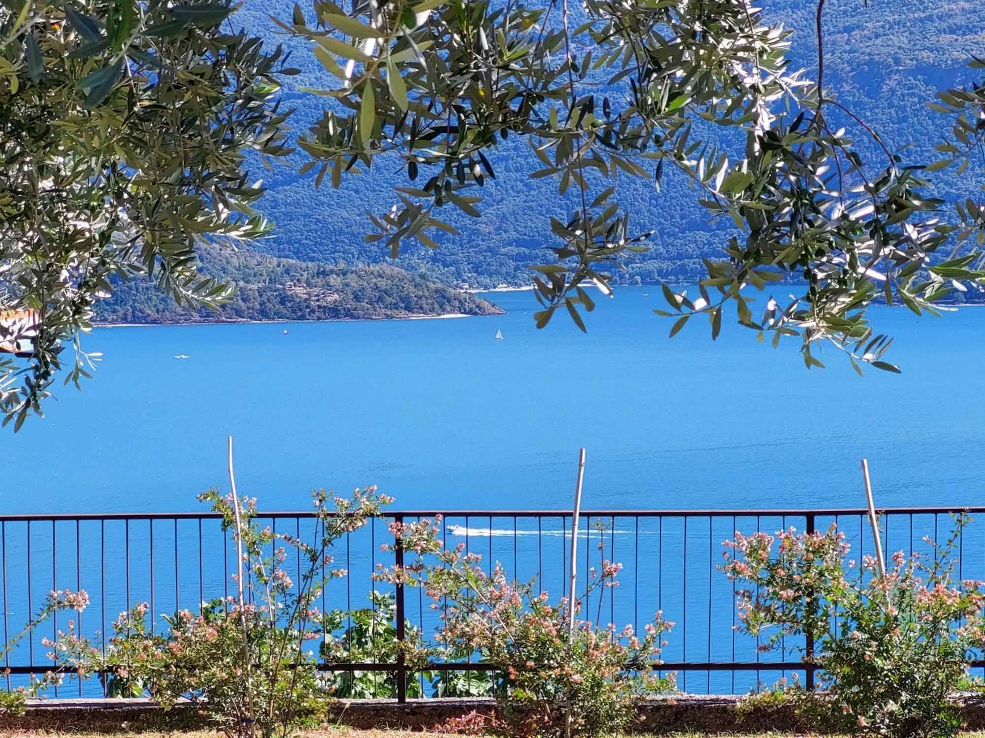 Casa vacanze Perla del Lago Domaso Esterno foto