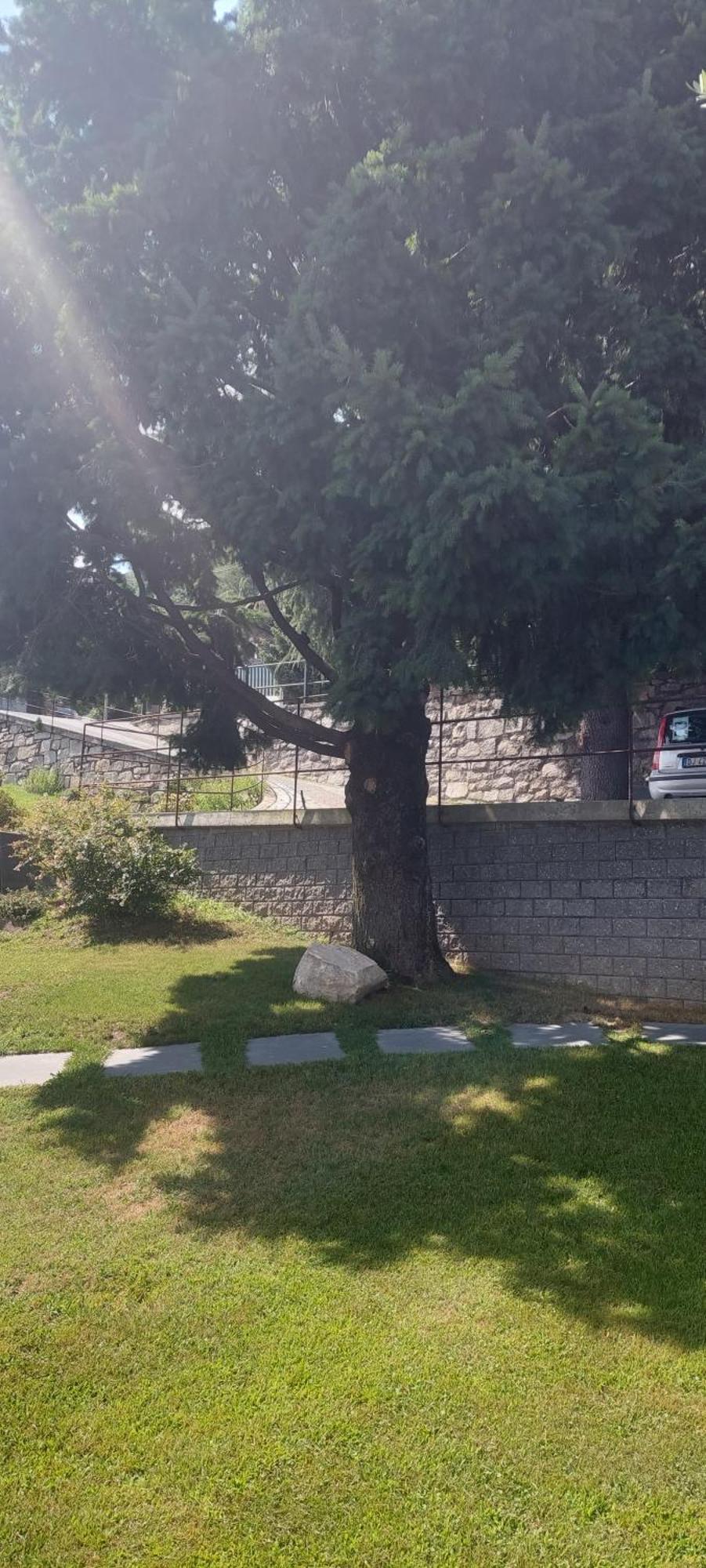 Casa vacanze Perla del Lago Domaso Esterno foto